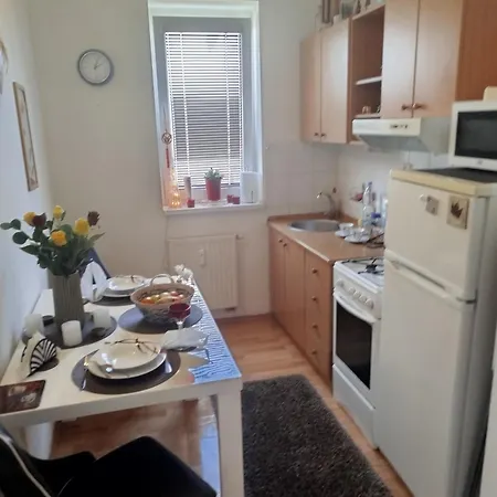 Pekny Na Kratkodoby Prenajom V Nitre Apartment